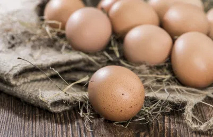 White or brown eggs? Learn which one to choose.
