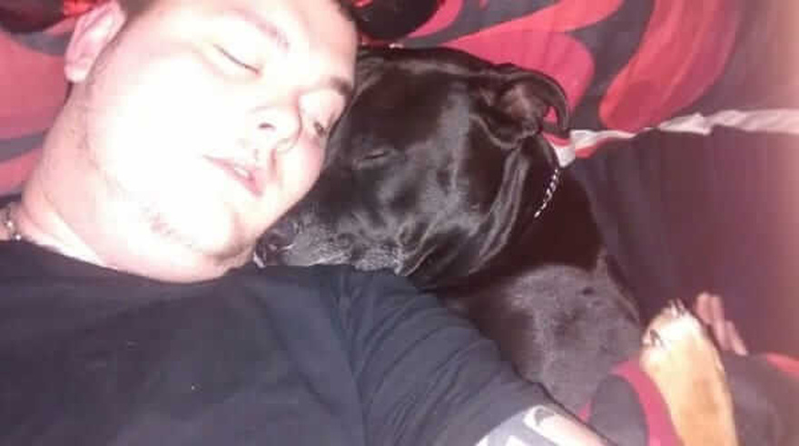 Geo the dog sensed something was wrong and saved a life