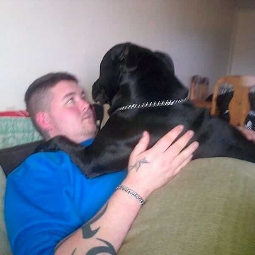 Geo the dog sensed something was wrong and saved a life