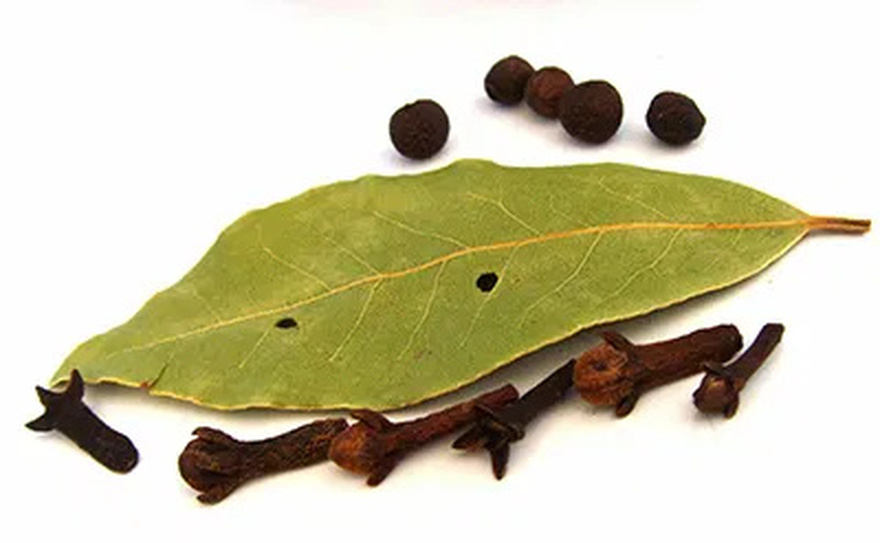 Leaf Reduces Diabetes, Bl00d Pressure, Ends Body Pain, Cholesterol and Eliminates Poor Circulation