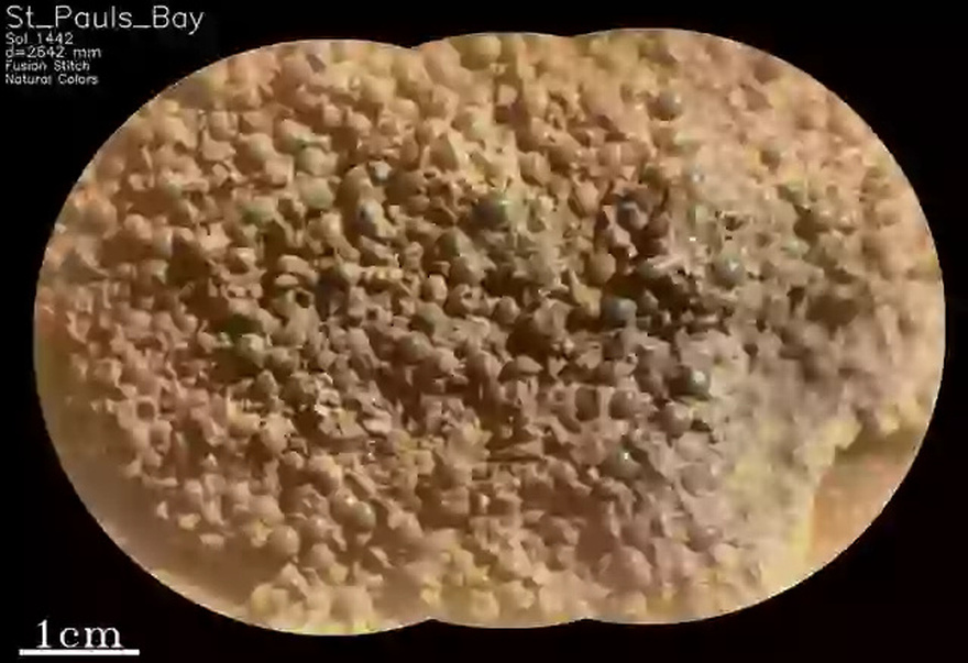 NASA’s Mars Rover Uncovers Mysterious Spheres On The Planet’s Surface, Leaving Experts Baffled