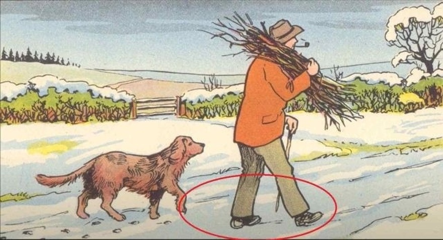 Only highly intelligent people can find the mistake in the man and dog picture in 6 seconds!