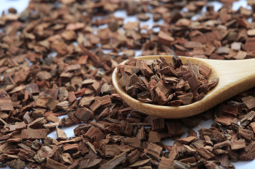 Top 10 Spices & Herbs to Support Arterial Health