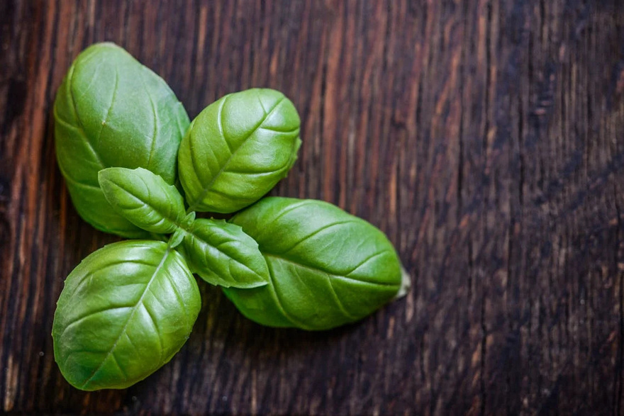 Top 10 Spices & Herbs to Support Arterial Health
