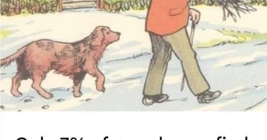 Only highly intelligent people can find the mistake in the man and dog picture in 6 seconds!