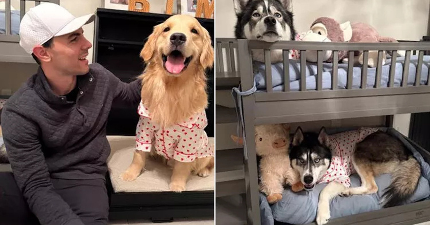 Couple Shares Viral Nighttime Routine for Their Dogs — and Receives Backlash for Putting Them in Pajamas