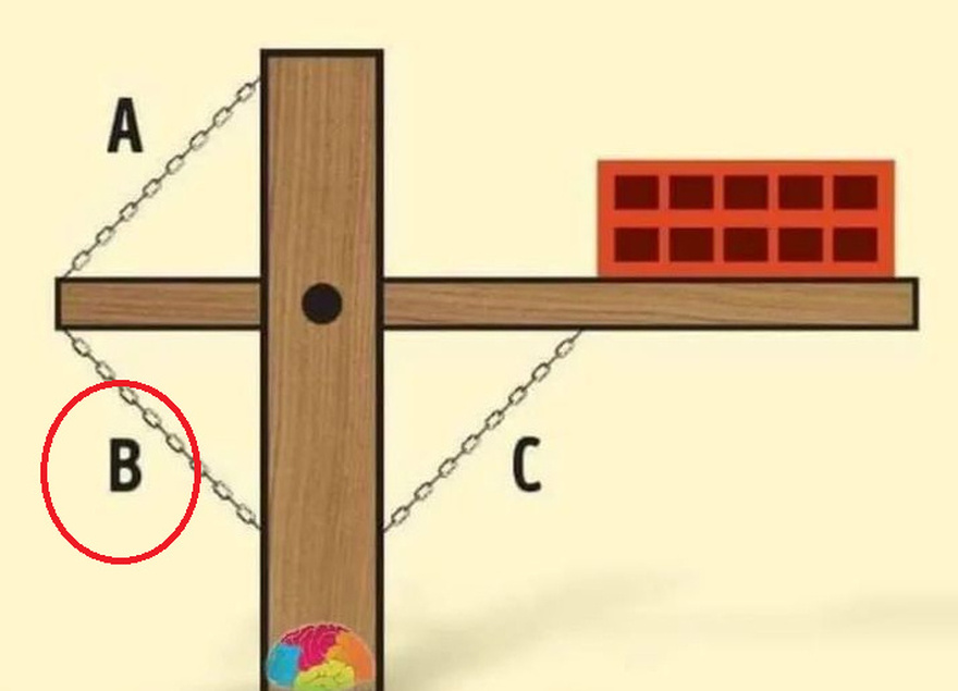 The One Chain That Decides It All: Can You Guess Which Breaks to Make the Brick Fall?