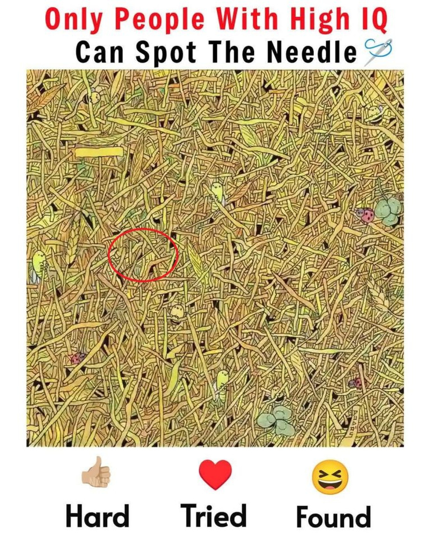 The Needle in the Haystack Challenge: A Visual Test for Sharp Minds