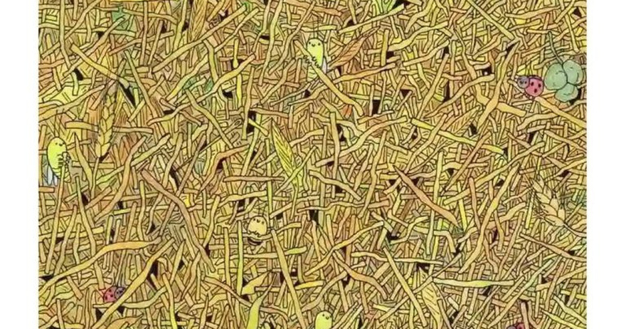 The Needle in the Haystack Challenge: A Visual Test for Sharp Minds
