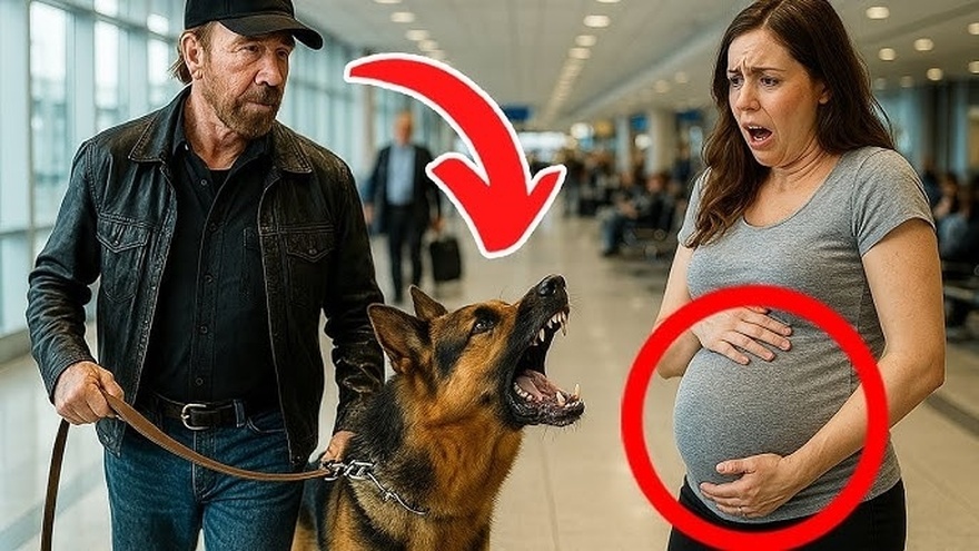 Pregnant woman relentlessly harassed by police dogs