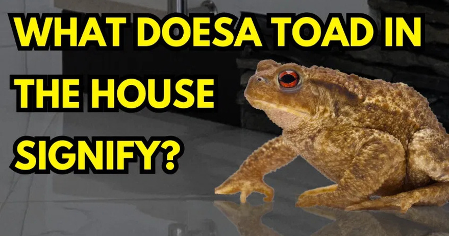 If you find this animal in your home it has a special meaning.