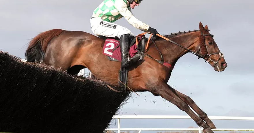 Horse with ‘No More to Give’ Dies After Collapsing During Grand National Race
