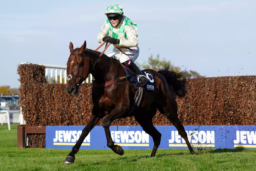 Horse with ‘No More to Give’ Dies After Collapsing During Grand National Race
