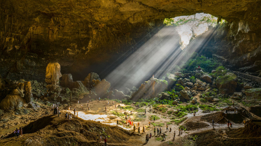 Ancient forest found at bottom of huge sinkhole