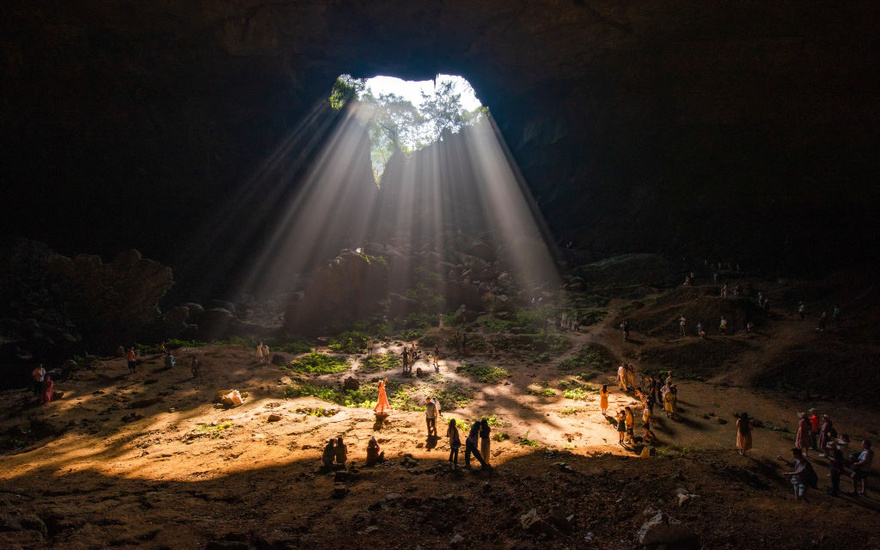 Ancient forest found at bottom of huge sinkhole