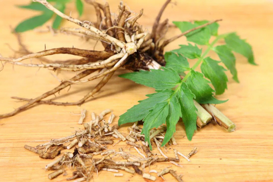 This remedy helps old people sleep like babies, for ten hours straight