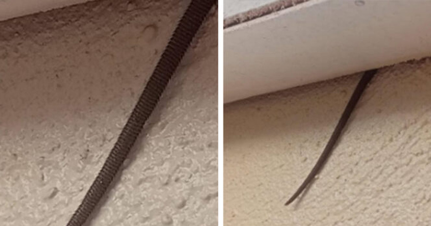 Online user finds creepy object hanging from ceiling