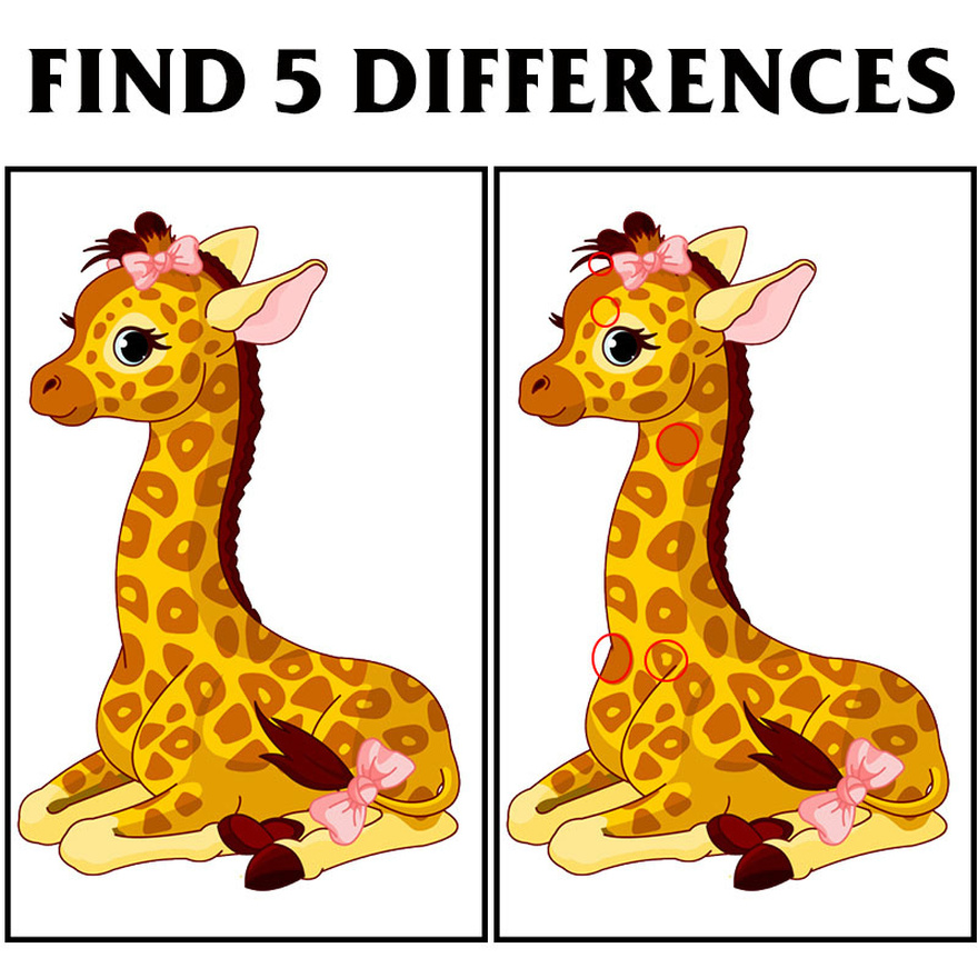 Find 5 differences