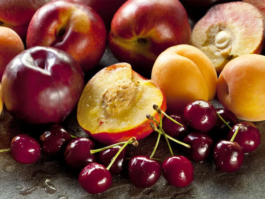 22 dangerous foods for dogs